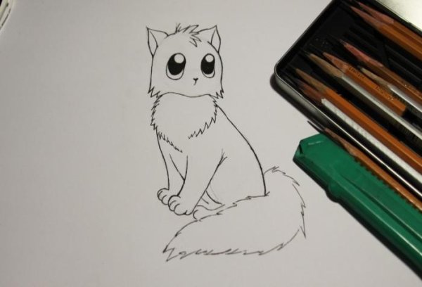 Котик рисунок фломастерами легко