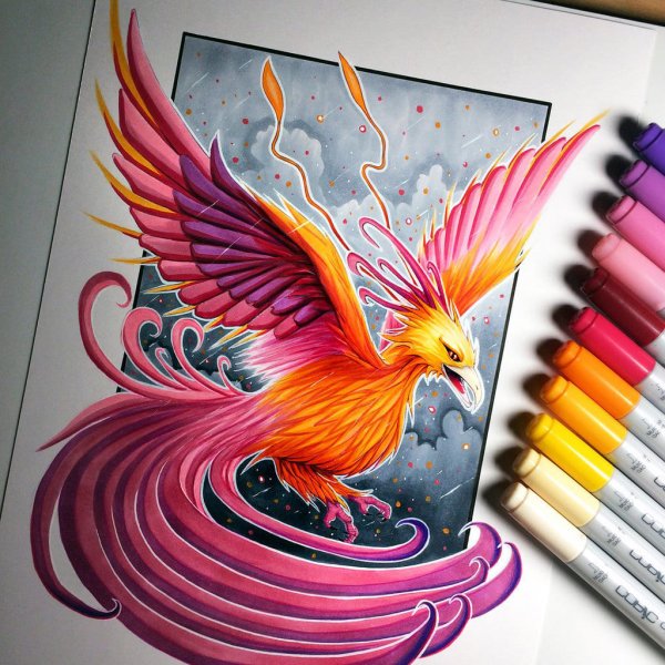 Рисунки цветные