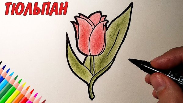 Рисунки простые но красивые