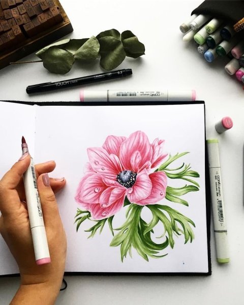 Рисунок легкий