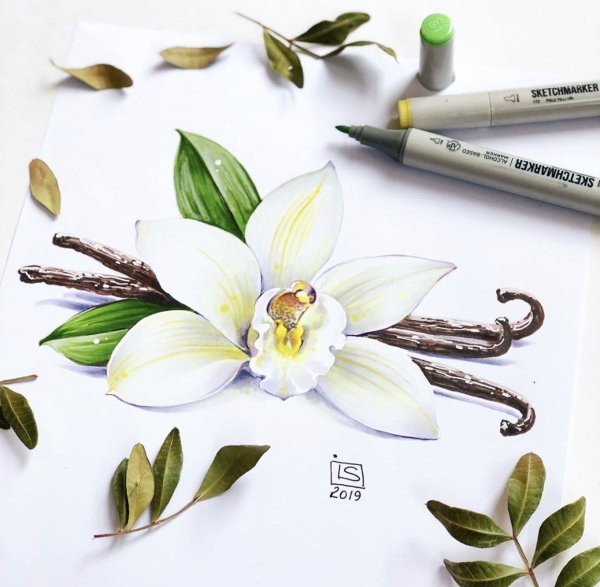 Цветы акварельными маркерами