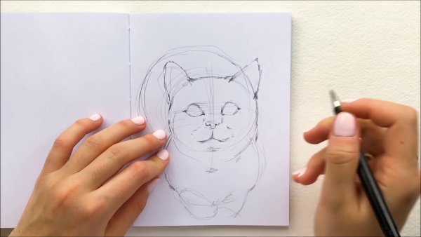 Рисунки цветные легкие