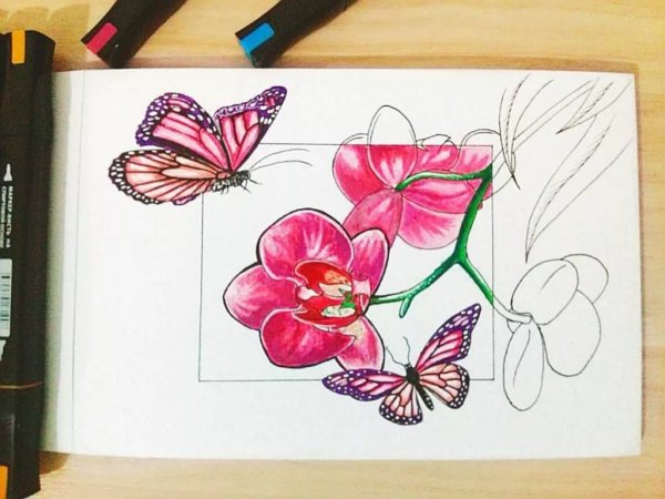 Рисование цветов фломастерами