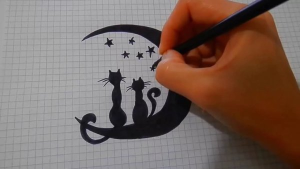 Рисунки черныойручкой