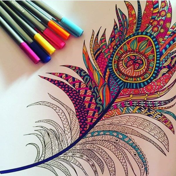 Иллюстрации Кэти Липскомб