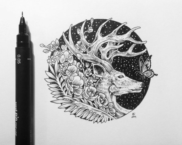 Рисунки ручкой для срисовки