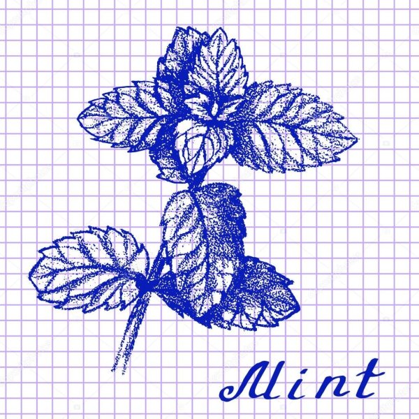 Рисунки ручкой в тетради