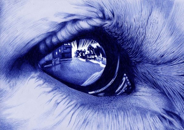 Рисунок шариковой ручкой