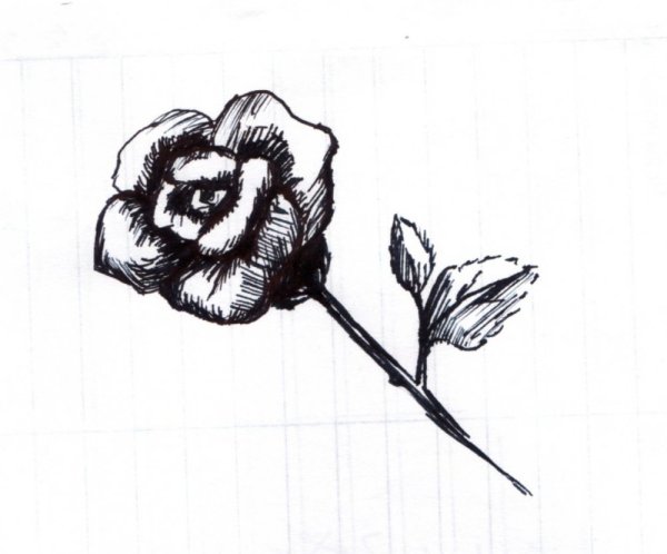 Красивые рисунки гелевой ручкой