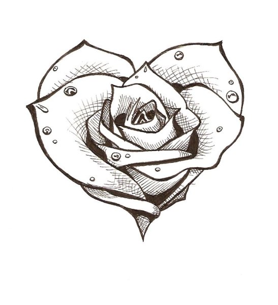 Розочка тату эскиз
