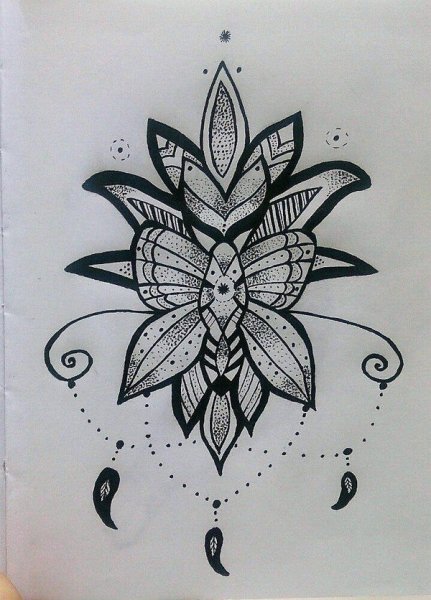 Зенарт цветы