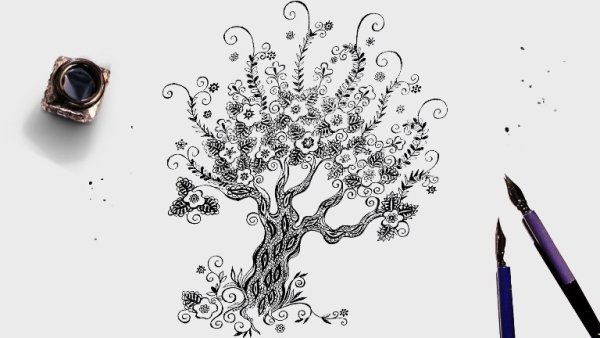 Рисунки деревьев ручкой для срисовки