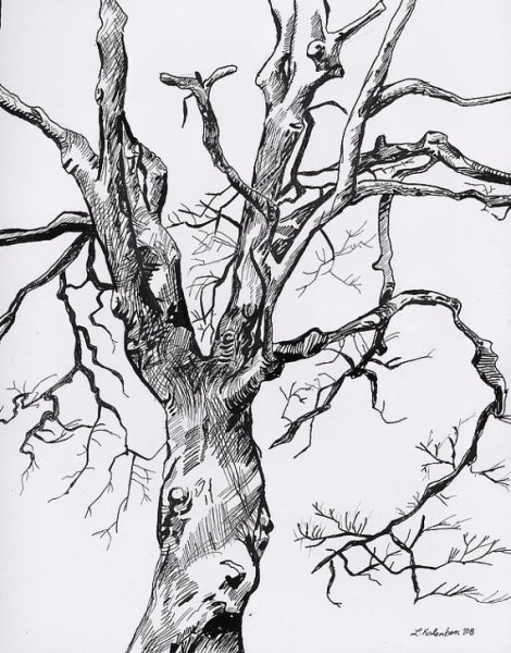 Ствол дерева Графика