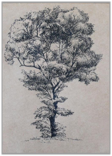 Дерево черной ручкой