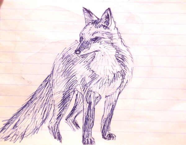 Рисунки животных ручкой