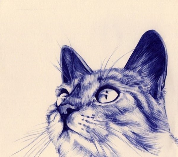 Змея скетчбук