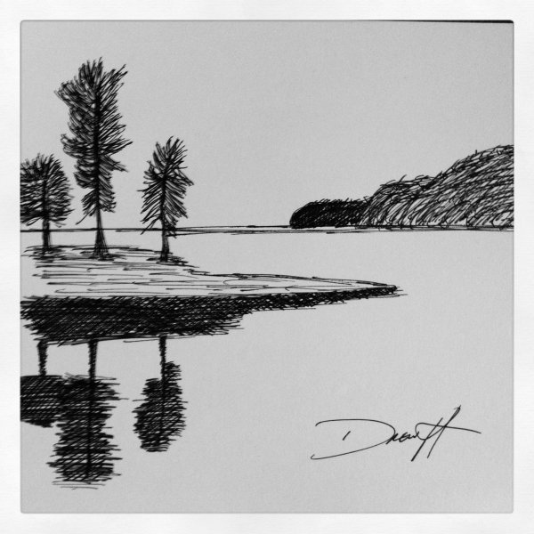 Пейзаж черной ручкой