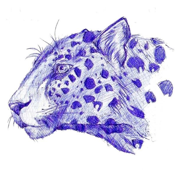 Красивые рисунки ручкой