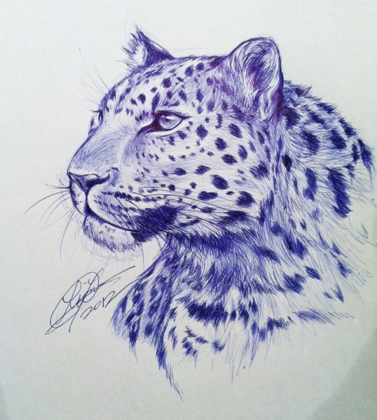 Животные шариковой ручкой