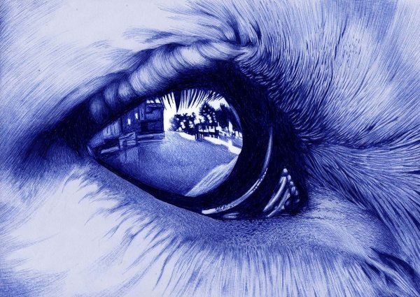 Арты шариковой ручкой