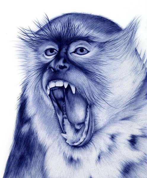 Рисунки ручкой