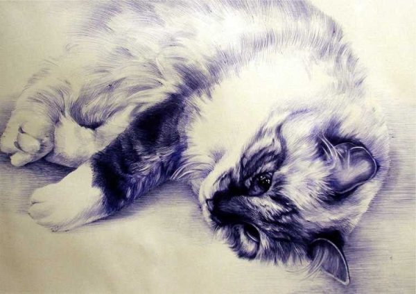 Ручка с котиком