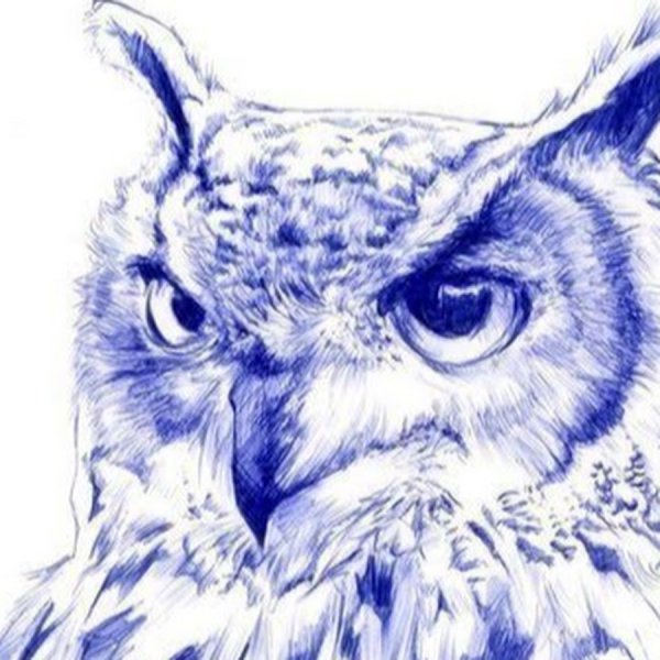 С ручкой Сова