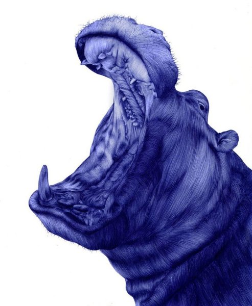 Реалистичные рисунки шариковой ручкой