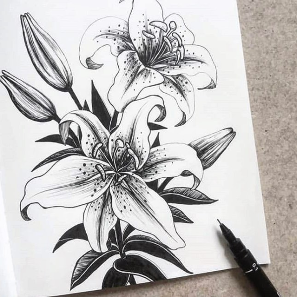 Рисунки чёрной ручкой