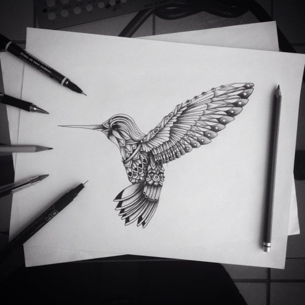 Геометрическая Колибри эскиз