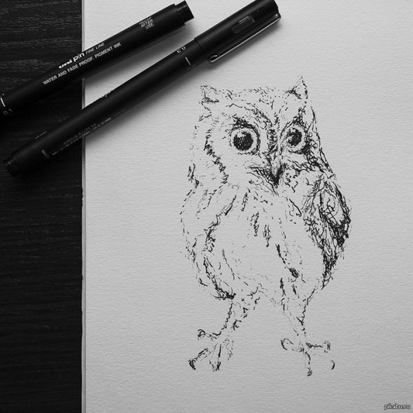 Идеи для рисования лайнером