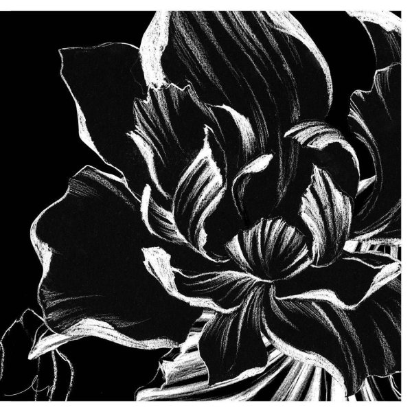 Рисунки белым по черному