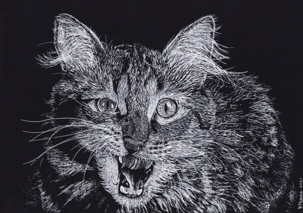 Скетчи на черной бумаге