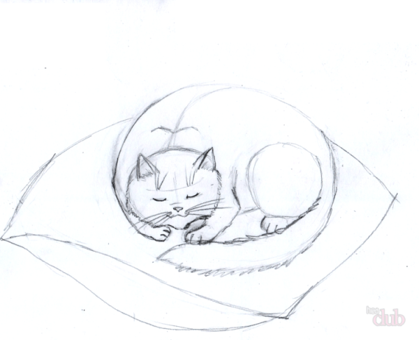 Спящий кот рисунок