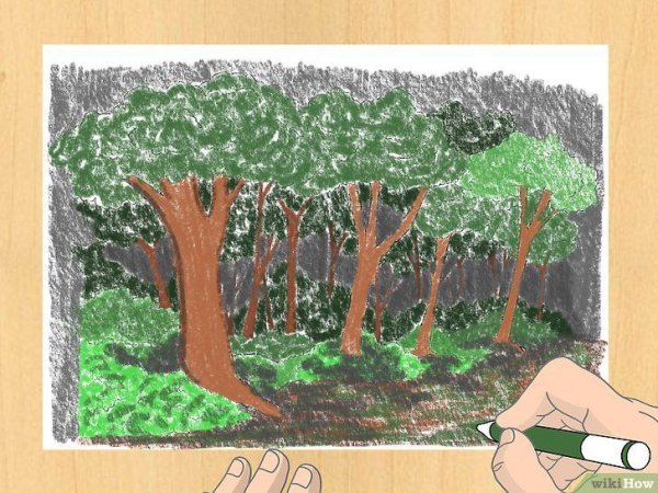 Нарисовать лес легко