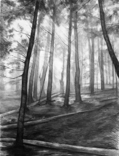 Пейзаж карандашом