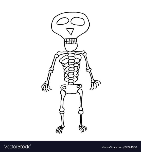 Скелет для срисовки
