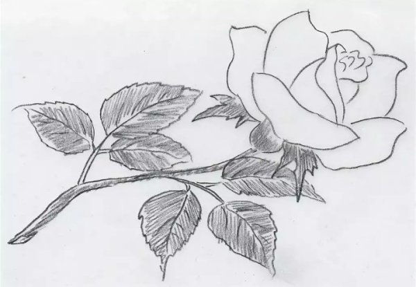 Красивые рисунки ручкой