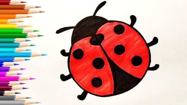 Божья коровка рисунок легкий