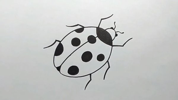 Божья коровка карандашом