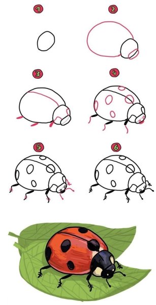 Божья коровка поэтапное рисование для детей