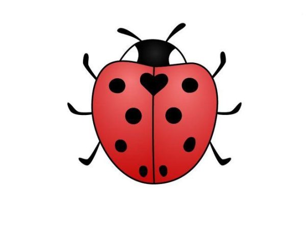 Божья коровка карандашом