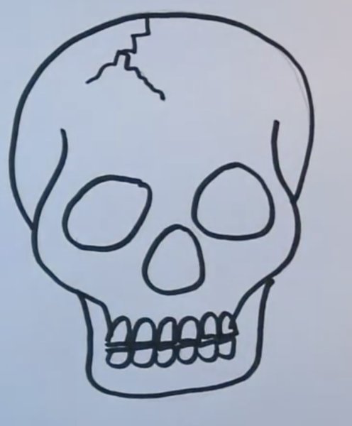 Рисунки черепа легкие