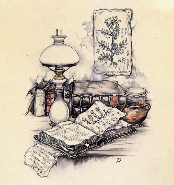 Акварельные книжные иллюстрации