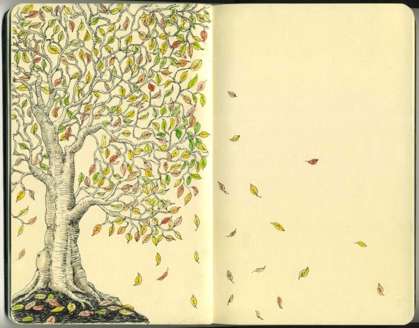 Форзац книги рисунок