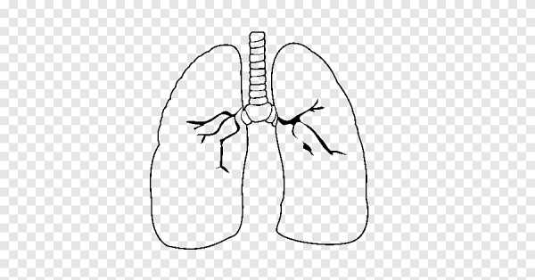 Легкие рисунки
