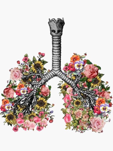 Легкие из цветов