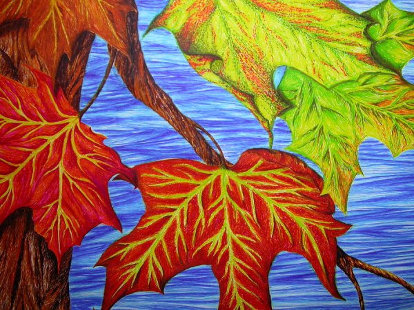 Осень карандашом