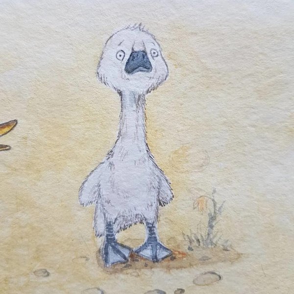 Гадкий утенок для срисовки