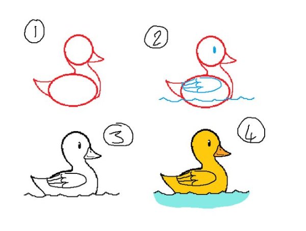 Нарисовать утку поэтапно